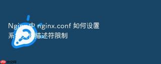 nginx 中 nginx.conf 如何设置系统文件描述符限制