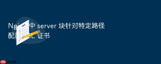 nginx 中 server 块针对特定路径配置 ssl 证书