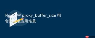 Nginx 中 proxy_buffer_size 指令的深度应用场景