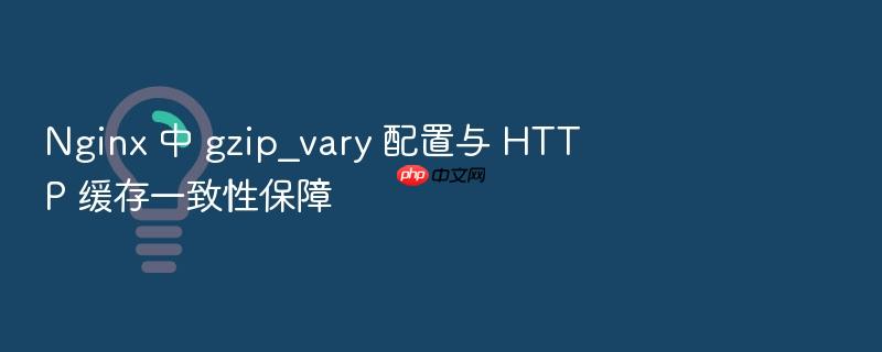 nginx 中 gzip_vary 配置与 http 缓存一致性保障