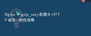 Nginx 中 gzip_vary 配置与 HTTP 缓存一致性保障