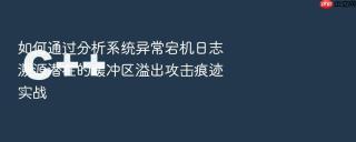 如何通过分析系统异常宕机日志溯源潜在的缓冲区溢出攻击痕迹实战