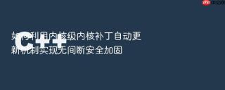 如何利用内核级内核补丁自动更新机制实现无间断安全加固