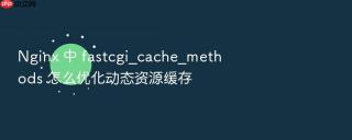Nginx 中 fastcgi_cache_methods 怎么优化动态资源缓存