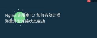 nginx 非阻塞 io 如何有效处理海量并发连接状态变动
