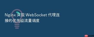 nginx 实现 websocket 代理连接的优先级流量调度