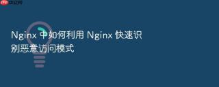 Nginx 中如何利用 Nginx 快速识别恶意访问模式