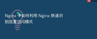 nginx 中如何利用 nginx 快速识别恶意访问模式
