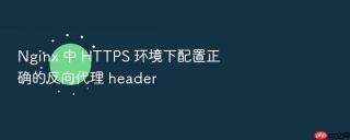 nginx 中 https 环境下配置正确的反向代理 header