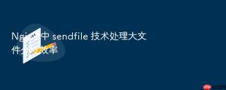 Nginx 中 sendfile 技术处理大文件分发效率