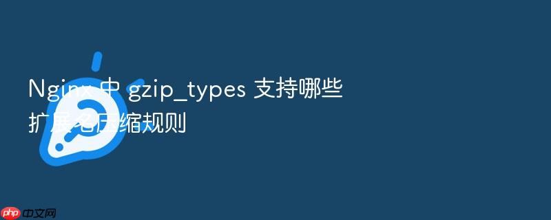 nginx 中 gzip_types 支持哪些扩展名压缩规则