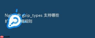 nginx 中 gzip_types 支持哪些扩展名压缩规则
