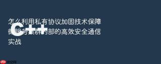 怎么利用私有协议加固技术保障微服务集群内部的高效安全通信实战