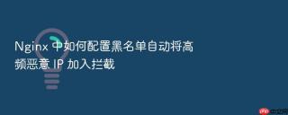 Nginx 中如何配置黑名单自动将高频恶意 IP 加入拦截