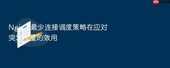 Nginx 最少连接调度策略在应对突发流量的效用