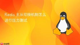 Redis 主从切换机制怎么进行压力测试