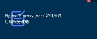Nginx 中 proxy_pass 如何应对后端服务波动