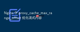 nginx 中 proxy_cache_max_range_offset 优化流式内容