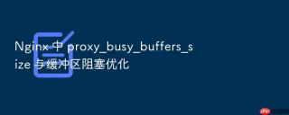 nginx 中 proxy_busy_buffers_size 与缓冲区阻塞优化