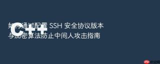 如何通过配置 ssh 安全协议版本与加密算法防止中间人攻击指南