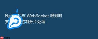 nginx 代理 websocket 服务时支持的二进制分片处理