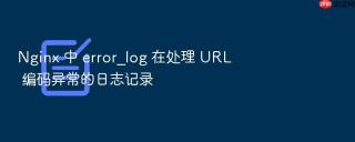 nginx 中 error_log 在处理 url 编码异常的日志记录