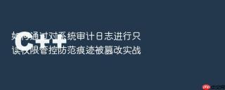 如何通过对系统审计日志进行只读权限管控防范痕迹被篡改实战