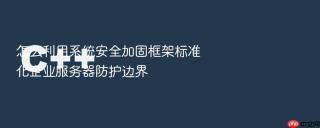 怎么利用系统安全加固框架标准化企业服务器防护边界