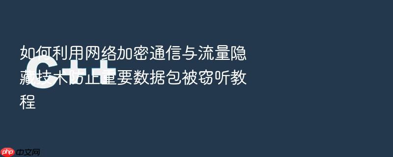 如何利用网络加密通信与流量隐藏技术防止重要数据包被窃听教程