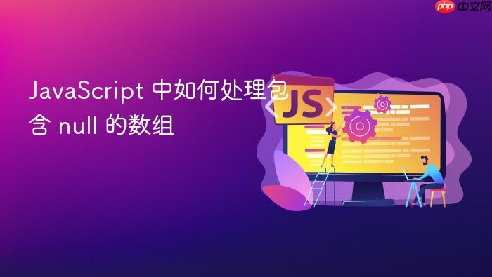 javascript 中如何处理包含 null 的数组
