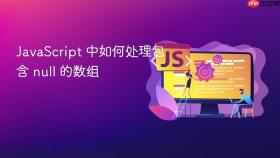 javascript 中如何处理包含 null 的数组