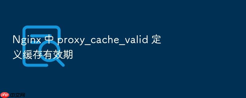 nginx 中 proxy_cache_valid 定义缓存有效期
