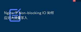 Nginx 中 Non-blocking IO 如何应对大流量写入