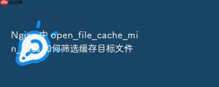 Nginx 中 open_file_cache_min_uses 如何筛选缓存目标文件