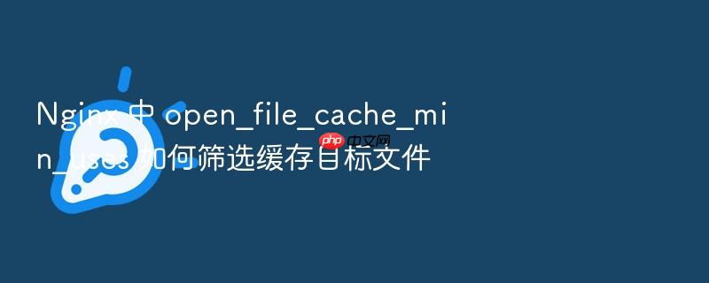 nginx 中 open_file_cache_min_uses 如何筛选缓存目标文件