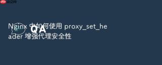 nginx 中如何使用 proxy_set_header 增强代理安全性