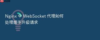nginx 中 websocket 代理如何处理握手升级请求