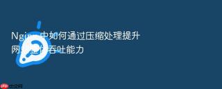 nginx 中如何通过压缩处理提升网站整体吞吐能力