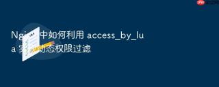 nginx 中如何利用 access_by_lua 实现动态权限过滤