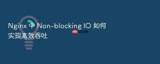 Nginx 中 Non-blocking IO 如何实现高效吞吐