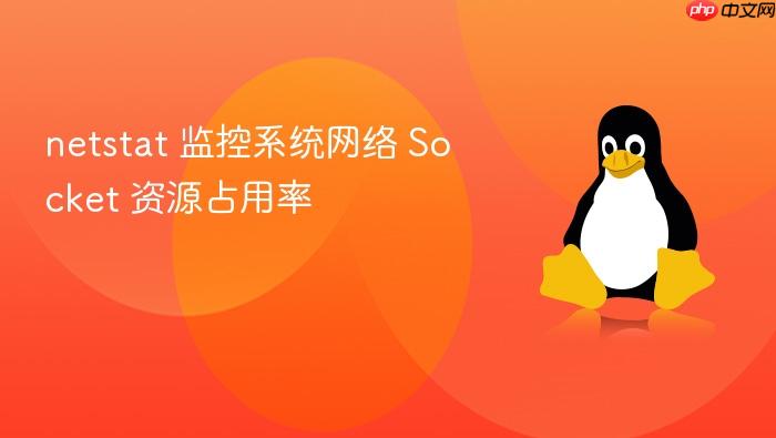 netstat 监控系统网络 socket 资源占用率