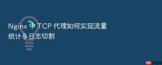 Nginx 中 TCP 代理如何实现流量统计与日志切割
