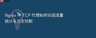 nginx 中 tcp 代理如何实现流量统计与日志切割