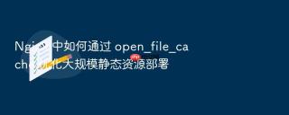 Nginx 中如何通过 open_file_cache 优化大规模静态资源部署