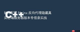 如何配置 nginx 反向代理隐藏真实后端服务器版本号信息实战