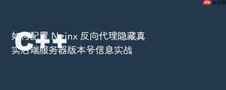 如何配置 Nginx 反向代理隐藏真实后端服务器版本号信息实战