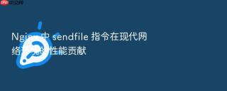 nginx 中 sendfile 指令在现代网络环境的性能贡献