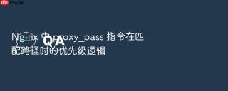 nginx 中 proxy_pass 指令在匹配路径时的优先级逻辑