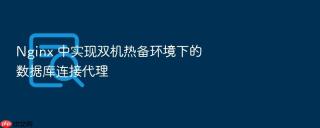 nginx 中实现双机热备环境下的数据库连接代理