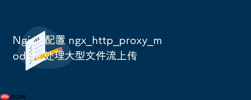 nginx 配置 ngx_http_proxy_module 处理大型文件流上传
